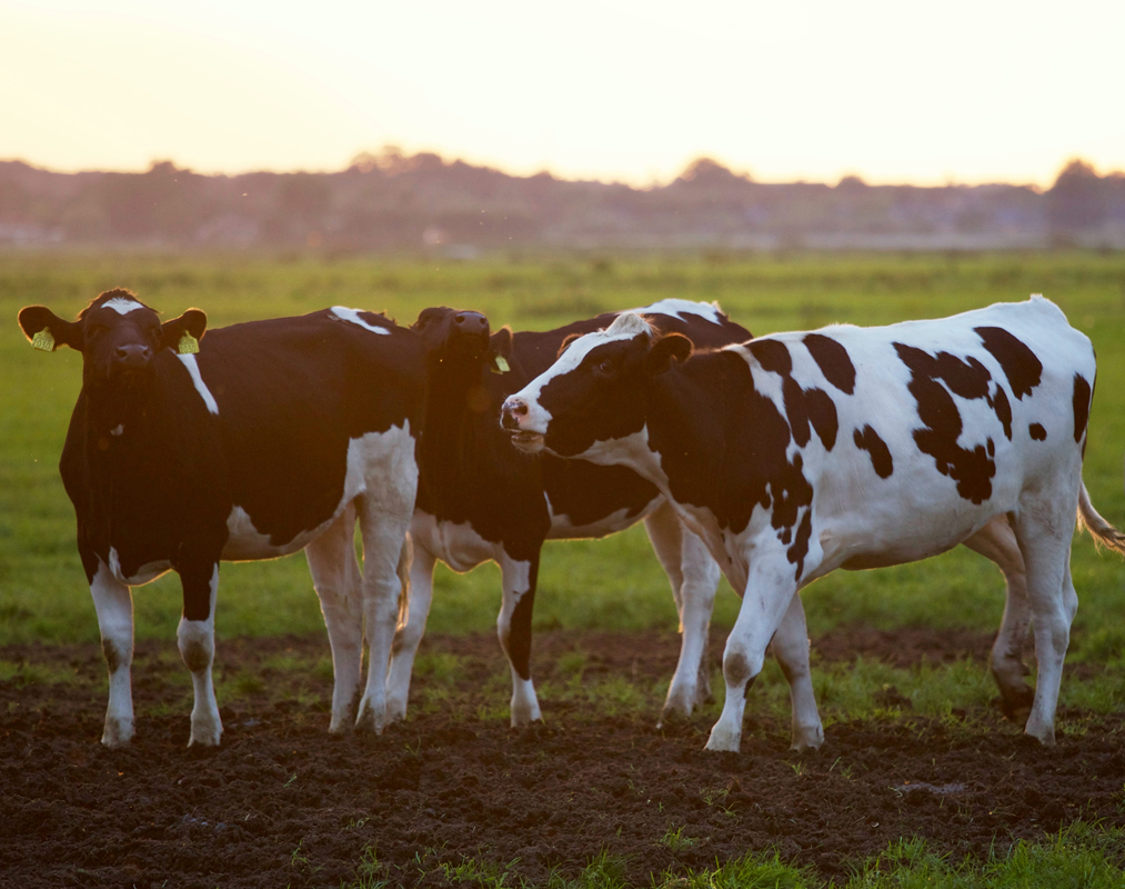 Agricultural